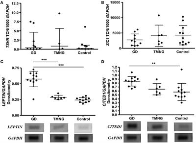 The Role of Thyrotropin Receptor Activation in Adipogenesis and Modulation of Fat Phenotype